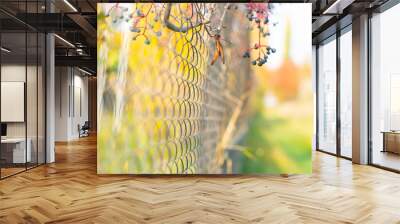 Metal mesh and wild grapes with blurred background from autumn landscape Wall mural