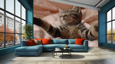 A playful kitten stretches out comfortably on a cozy blanket in a sunlit room during a peaceful afternoon Wall mural