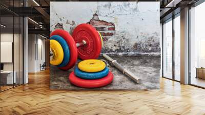 Professional dumbbells and multi-colored weight plates on a vintage background. Sports equipment. Healthy lifestyle. Wall mural