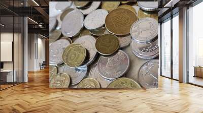 coins, set of coins kopecks Ukrainian coins on the table  Wall mural