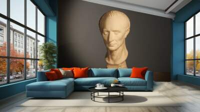 Caesar's plaster head in studio of Moscow, Russia, October 8, 2014 Wall mural