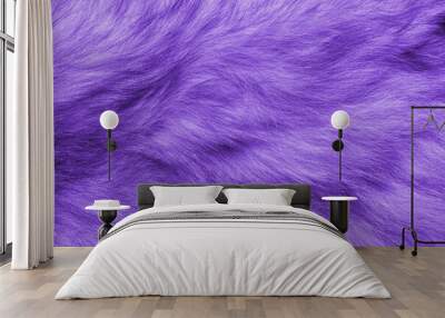 Colorful purple background fur texture Wall mural