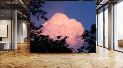 Beautiful big cloud at sunset. Pink cloud in the evening. Wall mural