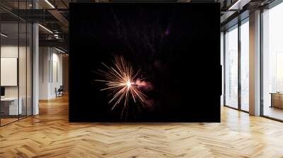 Firework. Colorful festive fireworks, standing out against the black sky. A shot of a bright fireworks explosion. Explosion. Firework. An overlay. new year. christmas, independence day, birthday, holi Wall mural