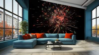 Firework. Colorful festive fireworks, standing out against the black sky. A shot of a bright fireworks explosion. Explosion. Firework. An overlay. new year. christmas, independence day, birthday, holi Wall mural