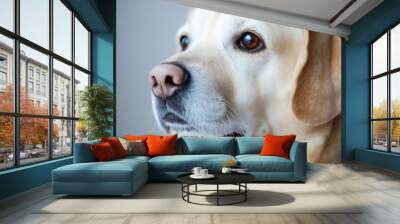 dog Wall mural