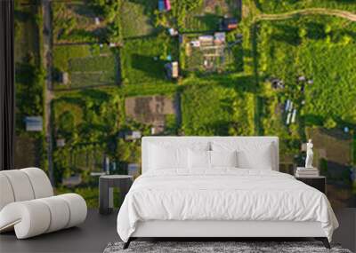 Aerial View of Green Agricultural Plots Wall mural