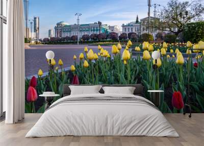 Tulips on the lawn in the city center. Wall mural