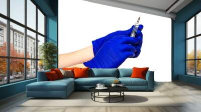 hands in blue protective medical gloves hold a syringe on the white background Wall mural