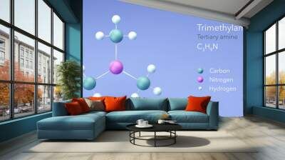 trimethylamine molecule, molecular structures, tertiary amine, 3d model, Structural Chemical Formula and Atoms with Color Coding Wall mural