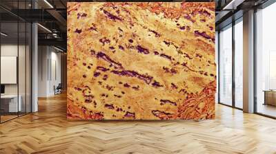 The texture of the natural material. Cork surface. Wall mural