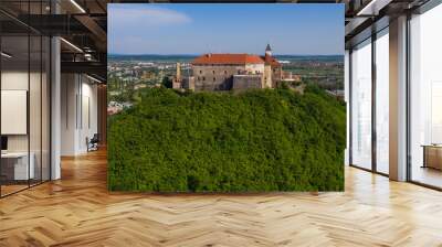 Picturesque view to the Palanok Castle with the red roofs under the blue sky in Mukachevo, Transcarpathian region in Ukraine. Aerial drone photo. Wall mural