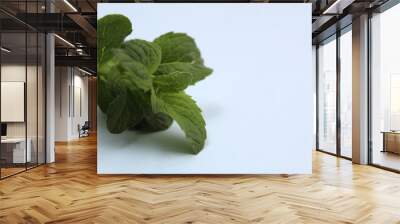 A sprig of mint green juicy lying on the table Wall mural