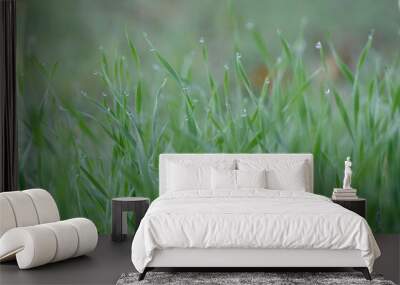 Morning autumn dew on the grass close up Wall mural