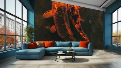 fish in a pond Wall mural