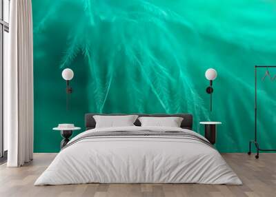 Mint color feather, close up, macro, beautiful background Wall mural