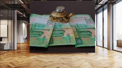 A metal turtle with coins and a paper bill on the table. Wall mural