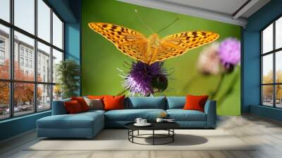 butterfly on flower Wall mural