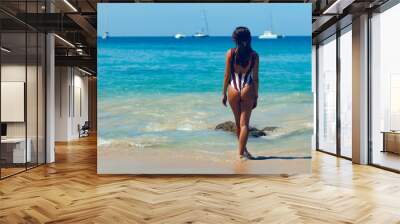 Girl looks at the ocean in a swimsuit Wall mural