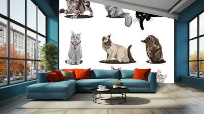 Cat Set Wall mural