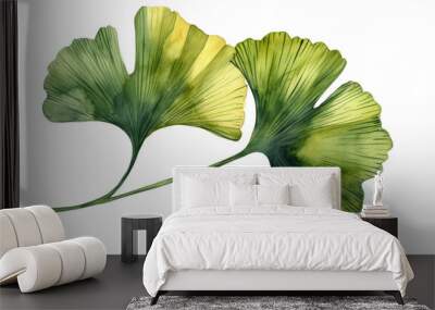 Ginkgo biloba leaf clipart  watercolor illustration  Wall mural