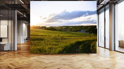 landscape with grass and blue sky Wall mural