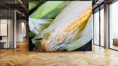 corn, sweet, yellow, harvest, food, fresh, agriculture, cereal, organic, Wall mural