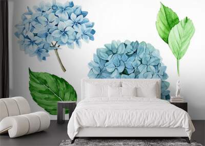 watercolor drawing. set of blue hydrangeas. isolated on white background clipart blue hydrangea flowers and green leaves. realistic drawing vintage style Wall mural