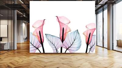 watercolor illustration. border with transparent calla flowers and leaves. pink and blue tropical flowers and leaves isolated on white background, bouquet, composition. Wall mural