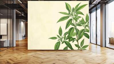 Detailed botanical illustration of medicinal herbal plant with textured background for natural remedy and herbalism concept Wall mural