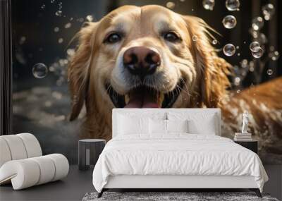 wet dog sitting in bathtub with soap bubbles flying around her, clear pet happy pet. modern minimali Wall mural