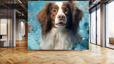 wet dog sitting in bathtub with soap bubbles flying around her, clear pet happy pet. modern minimali Wall mural