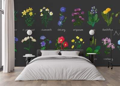 Wild flowers and herbs set isolated on black background. Collection of botanical flowers in vintage style. Elements for summer, spring bouquet. Symbols of alternative medicine. Vecrtor illustration.
 Wall mural