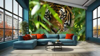 Close-up of tiger peeking through dense green foliage Wall mural