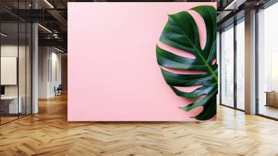 Green monstera leaf on pastel pink background Wall mural