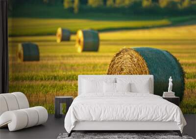 Rolled hay bales scattered in sunlit field during summer Wall mural