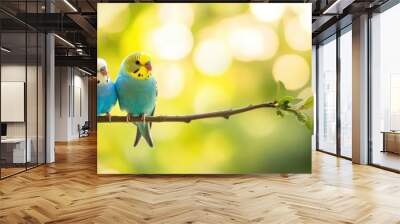 Two colorful budgies sit on branch against blurred green background Wall mural