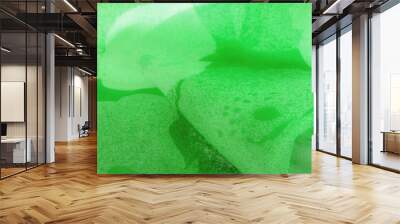 Texture. background. template. Abstract green silk chiffon fabri Wall mural