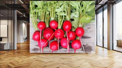 Natural, grown in the garden, freshly ripped radish on a wooden ancient table. Wall mural