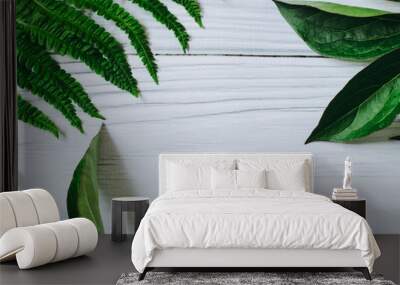 Backgrounds and textures. Leaves of peony and fern on a light background. Wall mural