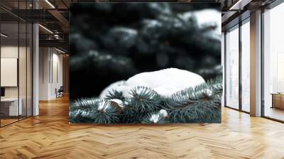 outdoor nature snow cold winter pine forest snow tree natural season frost white ice landscape environment frozen spruce Park tree December lovely scene trees needles fresh green snowflake coniferous  Wall mural