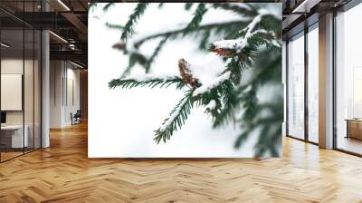 outdoor nature snow cold winter pine forest snow tree natural season frost white ice landscape environment frozen spruce Park tree December lovely scene trees needles fresh green snowflake coniferous  Wall mural