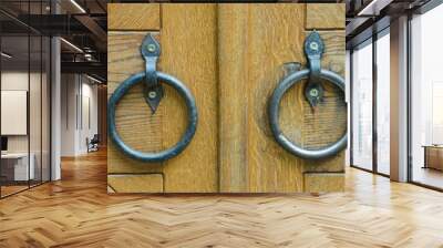 Iron handle-rings on a wooden door Wall mural