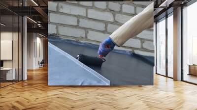 Worker paints the roof with a roller Wall mural