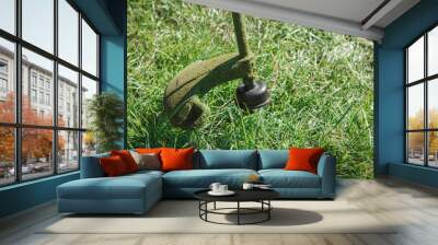 Man mowing green grass using brushcutter mower. Seasonal garden cleaning moder objects concept. Wall mural