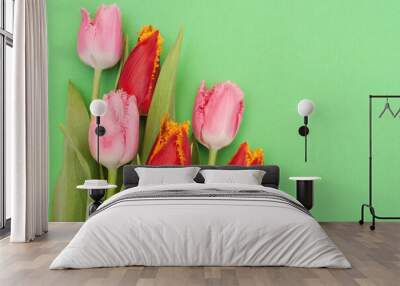 Bouquet of pink and red tulips on a green background.  Wall mural