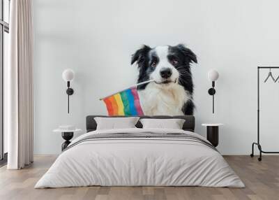 Funny cute puppy dog border collie holding LGBT rainbow flag in mouth isolated on white background. Dog Gay Pride portrait. Equal rights for lgbtq community concept. Wall mural