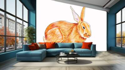 Isolated illustration of a 
ginger rabbit hand drawn in watercolor on a white background Wall mural