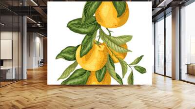 Vertical branch with orange fruits made in graphic design with leaves in bright colors. Wall mural