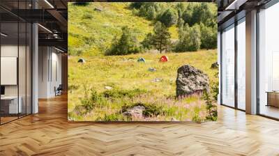 Panoramic view of Caucasian mountains with campground and fresh green meadows in bloom on a cloudy day, Dombay, Russia Wall mural